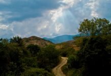 proteger a lideres sociales en zonas rurales de colombia