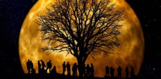 Vivir en la Luna