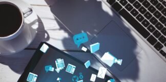tipos de internautas- usuarios de internet
