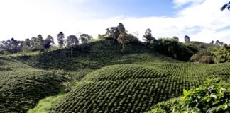 emprendimientos Colombia