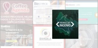 Premios Ingenio 2019