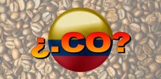 dominio .co