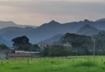 Fotografías