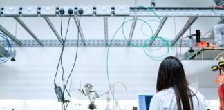 investigación 5 in 5 ibm