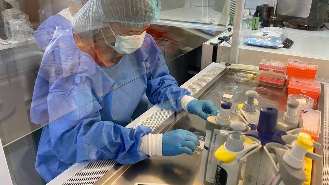 Ciencia-Instituto Distrital-de-Ciencia-Biotecnología-e-Innovación-en-Salud-1