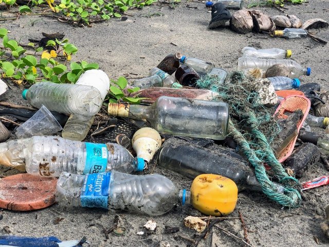Ciencia-microplasticos-muerte-celular