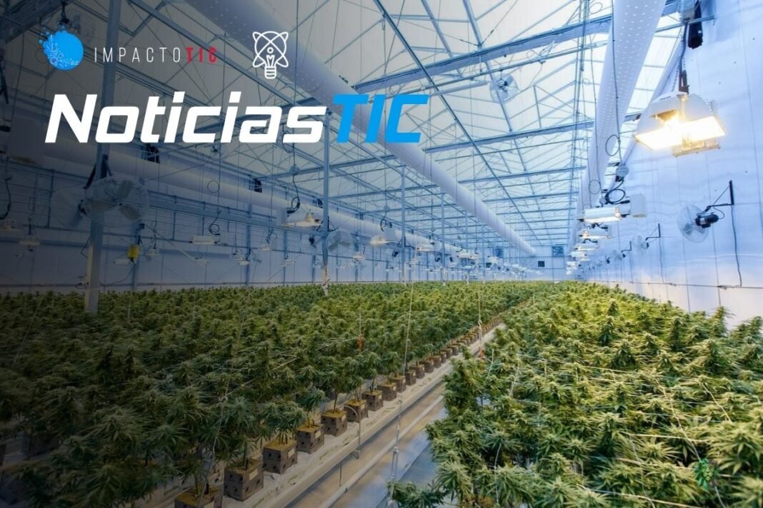NoticiasTIC-normatica-colombia-uso-industrial-cannabis