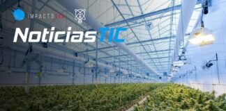 NoticiasTIC-normatica-colombia-uso-industrial-cannabis