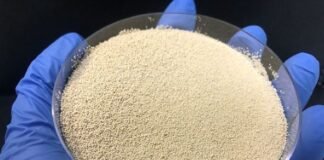 DSM enzima