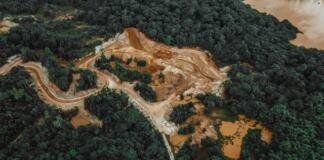 Los SIG y su impacto en la deforestación en Colombia