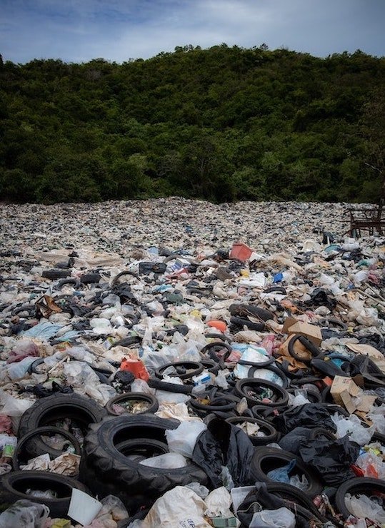 5 plataformas innovadoras que informan sobre la forma correcta de reciclar