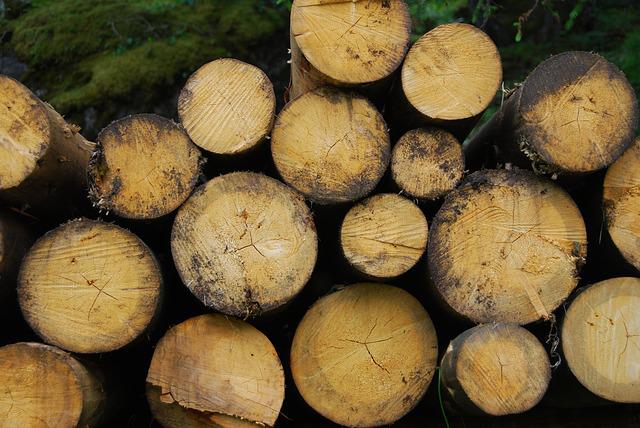 Biomasa forestal