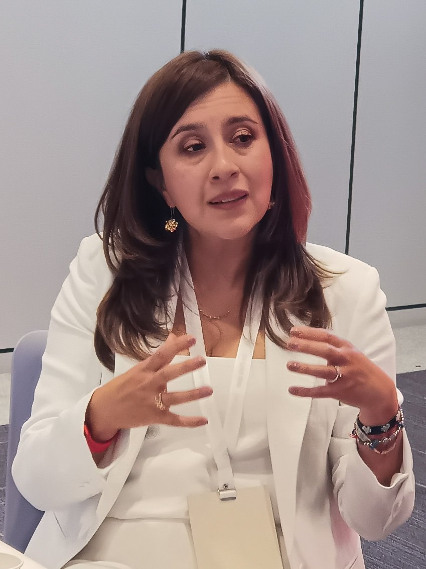 marcela perilla sap colombia