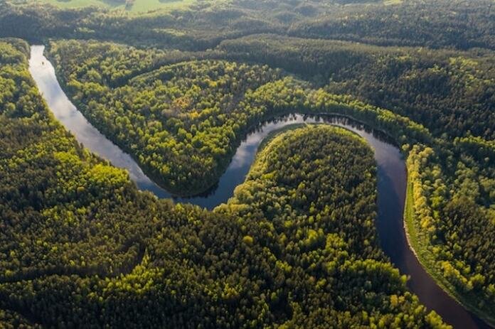 Selva del Amazonas