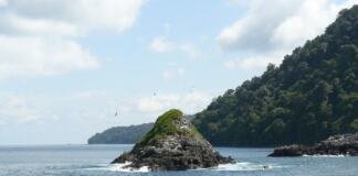 Isla Gorgona