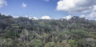 Bosques de Colombia