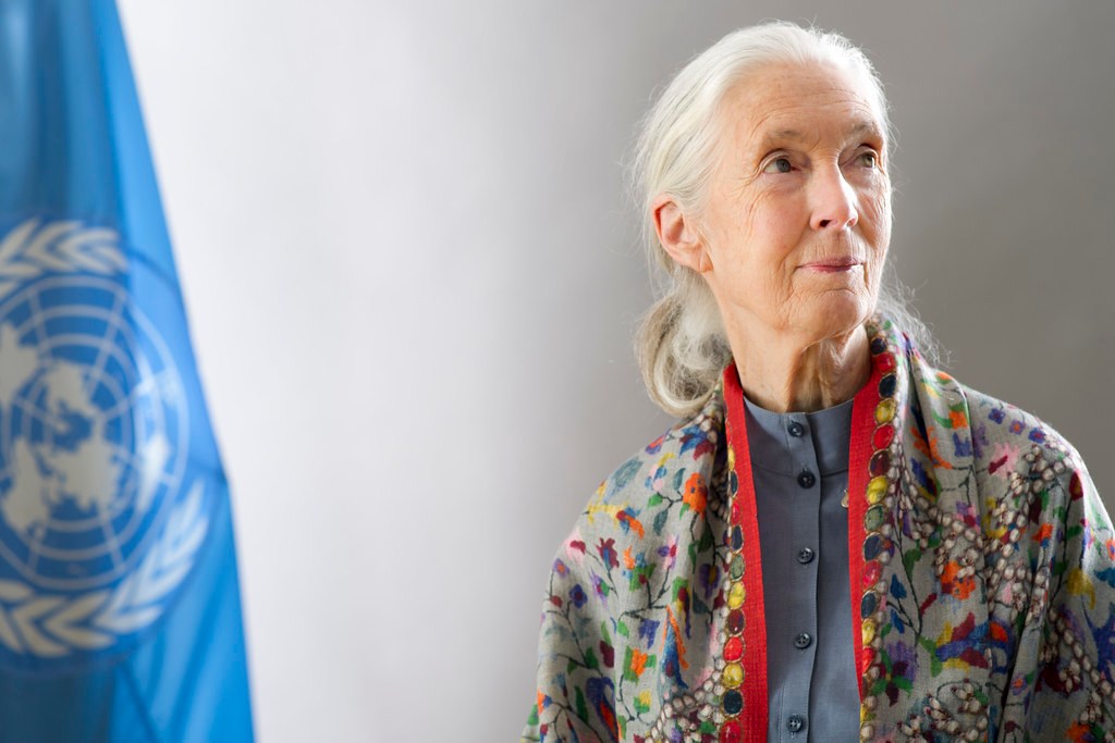Día Internacional de la Mujer: 7 pioneras en temas de medio ambiente