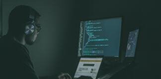 person using laptop computers