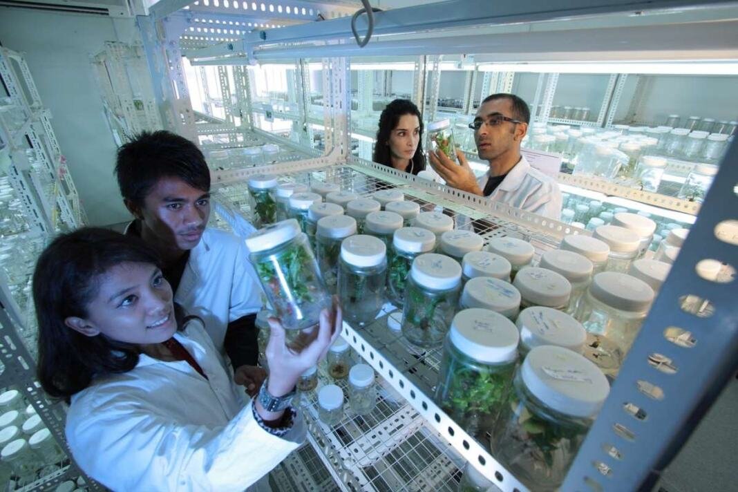 Convocatorias de Minciencias