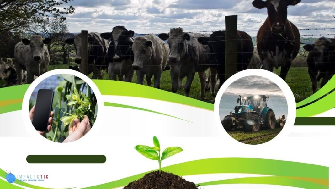 Diseno-sin-titulo-5-1