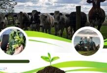 Agroexpo 2023 - tecnologías y herramientas más innovadoras