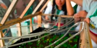 Conectividad Calarcá impulsa el Invernadero Digital