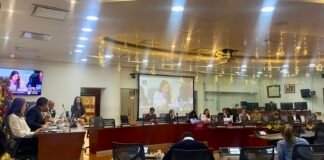 Entre la protección y la censura: El dilema del proyecto de ley sobre violencia digital en Colombia El dilema del proyecto de ley sobre violencia digital en Colombia