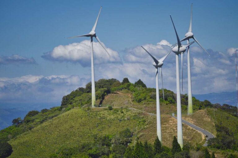 Colombia lidera la implementación de estrategias sostenibles en América Latina, revela estudio de SAP 