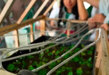 Tecnología en Calarcá: Avances de conectividad en instituciones educativas rurales